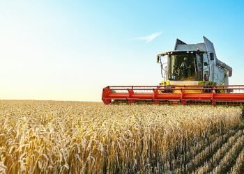 Türkiye Kalkınma ve Yatırım Bankası’ndan Türkiye Sosyal Etki Ekosisteminde bir ilk daha: Buğday Fiyatına Endeksli Sukuk İhracı