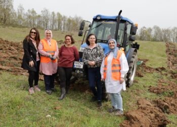 Buyuksehirden 75 hibeli tarim destegi 1