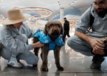 İGA İstanbul Havalimanı Terapi Köpekleri Uçuş Stresini Azaltmak İçin Göreve Hazır!