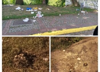 WhatsApp Image 2024 04 16 at 9.44.31 AM