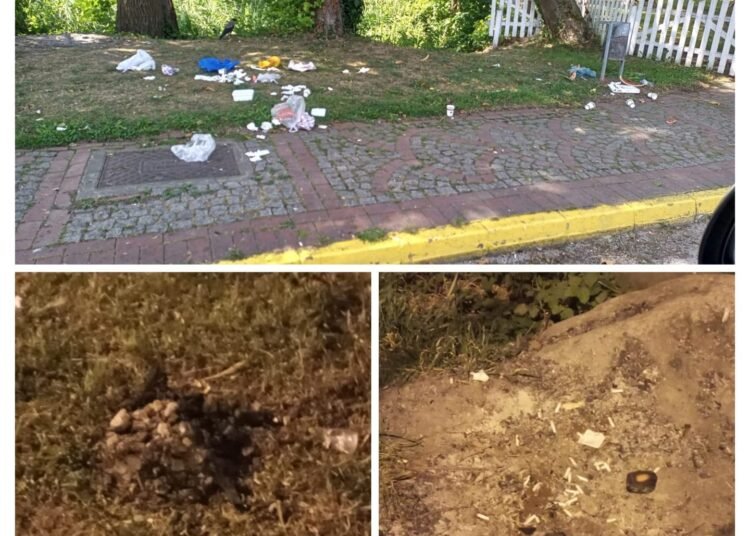 WhatsApp Image 2024 04 16 at 9.44.31 AM