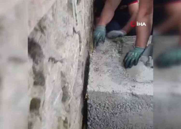 İtfaiyeden sincap kurtarma operasyonu