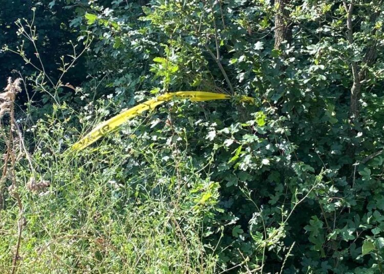 İzmit’te Komşusunu Nişanlısına Küfür Eden Sanık Hakkında Müebbet Hapis Cezası Talep Edildi