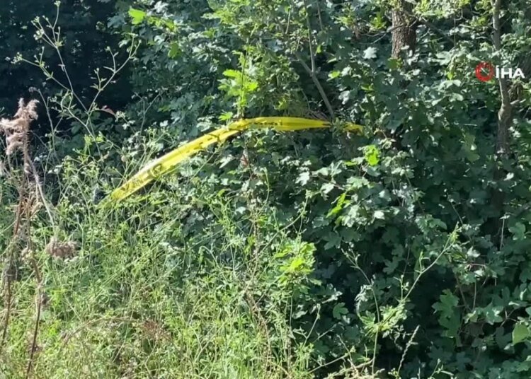 Küfür iddiasını kabul etmeyen savcı komşusunu öldüren sanığa müebbet talep etti