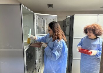 Üniversite Öğrencileri Sokak Hayvanlarına Destek Verdi