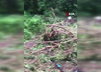 18 yaşındaki kızı öldürüp kaza süsü vermişti, tutuklandı