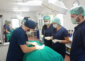 Geleceğin veteriner hekimlerine uygulamalı eğitim