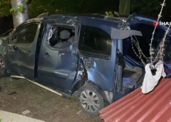 Hafif ticari araç ağaca çarptı: 1 yaralı