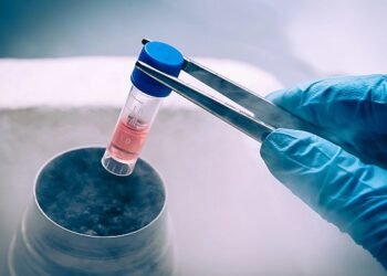 Ortopedide Kök Hücre Devrimi: Geleceğin Tedavi Yöntemi