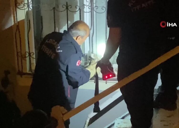 Pencere korkuluğuna sıkışan kediyi itfaiye kurtardı