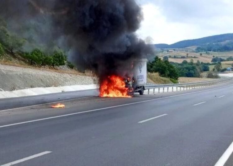 İzmit’te Kamyonet Alevlere Teslim Oldu