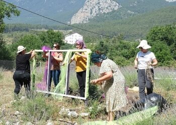 Kemer’de lavanta tanıtım etkinlikleri başlıyor