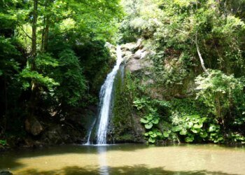 Kocaeli’nin Derince ilçesinde bulunan Çınarlıdere Şelalesi, doğa severlerin ilgisini çekiyor