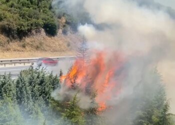 Körfez’de TEM Otoyolu’nda Yangın Çıktı
