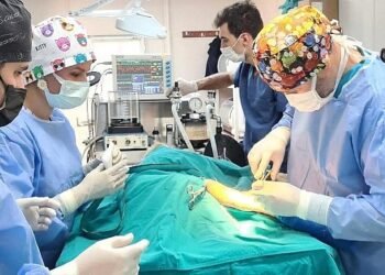 En fazla sokak hayvanını Osmangazi Belediyesi kısırlaştırdı