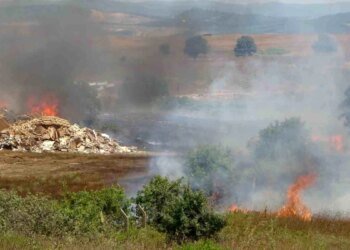 İstanbul-Kocaeli sınırında yangın çıktı