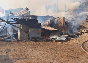 İzmit’te Ahır Yangını: 1 Yaralı, 13 Hayvan Telef Oldu