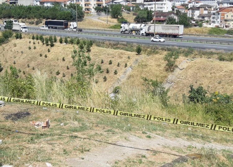 Kocaeli’de Yol Kenarında Kadın Cesedi Bulundu