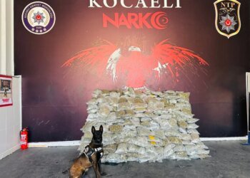 Kuzey Marmara Otoyolu’nda 116 kilogram skunk ele geçirildi