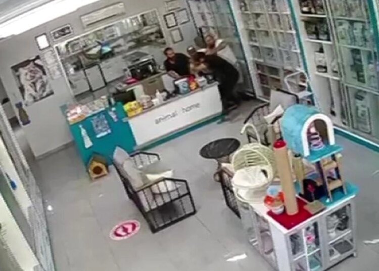 Veteriner Hekim Darp Edildi, Şüpheliler Serbest Bırakıldı