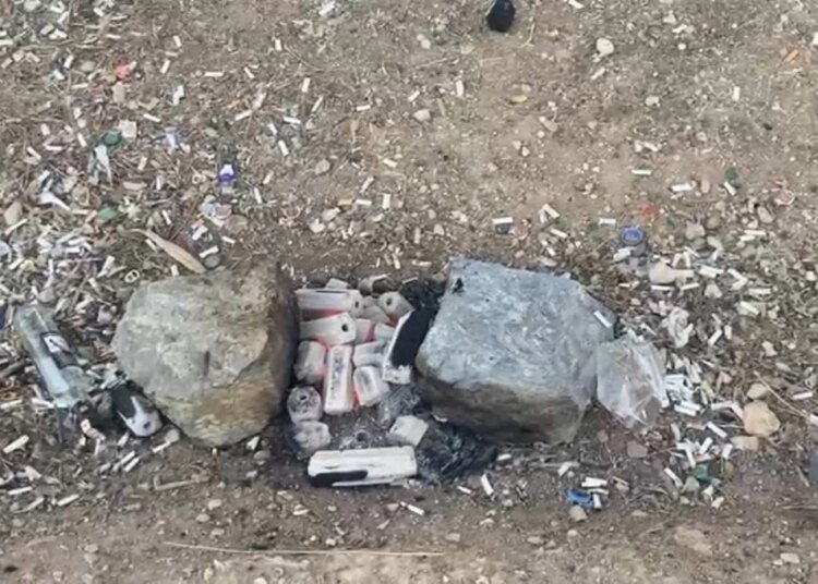 Darıca’da Mangal Ateşi Yangına Neden Oldu
