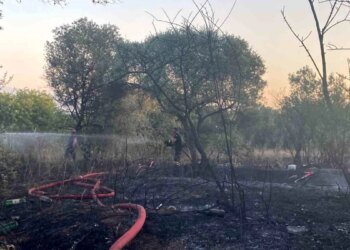 Darıca’da Mangal Yangınında 2 Dönüm Alan Kül Oldu