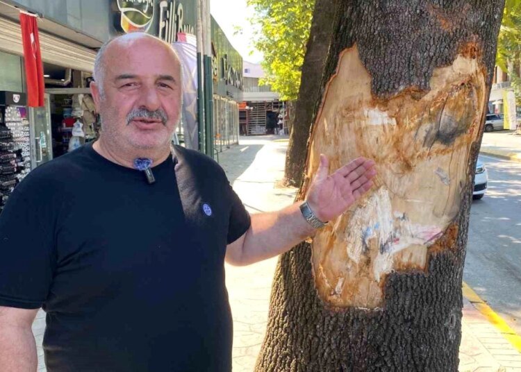 Kocaeli’de freni boşalan kamyon park halindeki araçlara çarptı