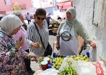 ‘Toprak Reformu Yapacağız” ‘Toprak Ekenin, Su Kullananındır’