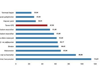 Tüik: Tarımsal girdi fiyat endeksi (Tarım-GFE) yıllık %47,56 arttı, aylık %0,93 arttı