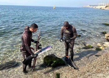 Ağırlığı tam 320 kilogram! Marmara’da nadir görülen mavi yüzgeçli orkinos avlandı