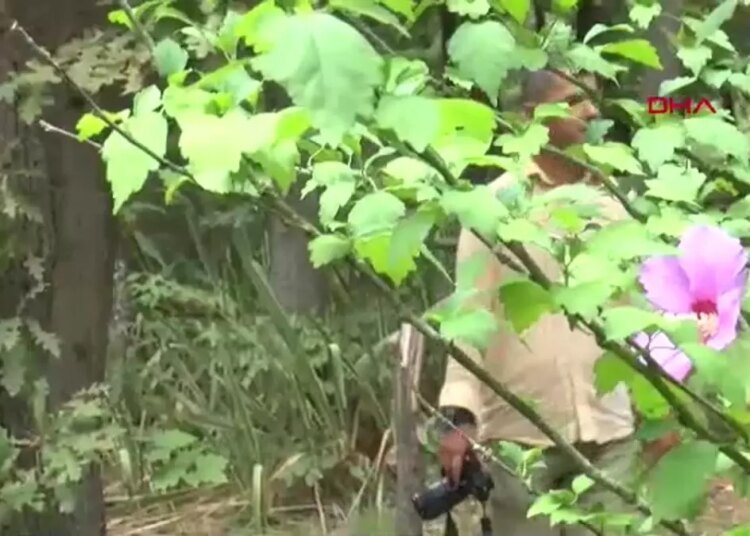 Çocukluk Hayalini Gerçekleştiren Memur: Hüseyin Doğan’ın Bitki Fotoğrafçılığı Yolculuğu