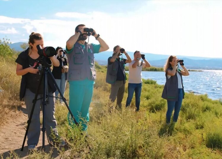 İzmit Körfezi’nde Flamingo Popülasyonu 491’e Yükseldi