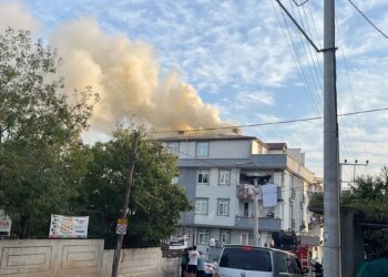 Kocaeli’de Mangaldan Çıkan Kıvılcımlar Yangına Sebep Oldu