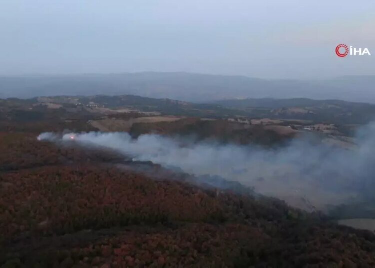 Kocaeli’de orman yangını 3 saatte kontrol altına alındı