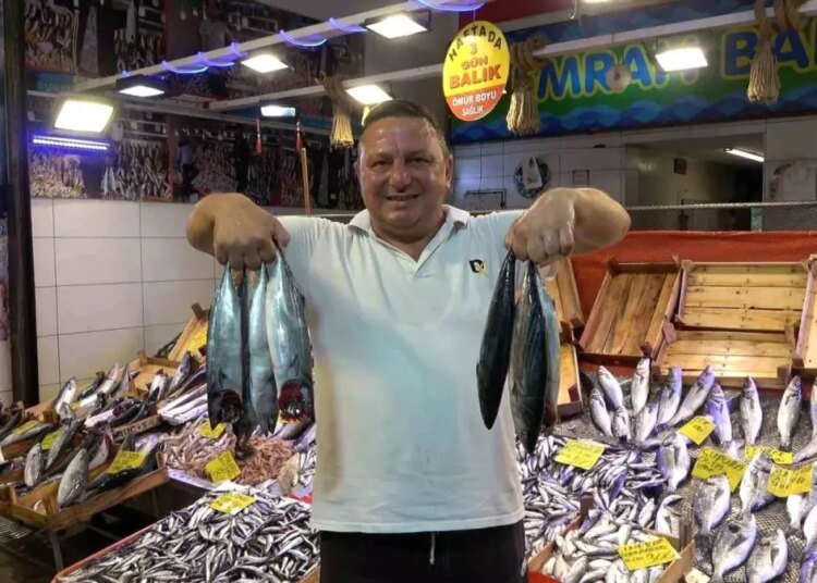 Kocaeli’de Palamut Fiyatları Düşüyor