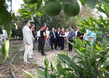 “Akdeniz Meyve Sineği İle Mücadelede Biyoteknik Yöntemlerin Yaygınlaştırılması Projesi”