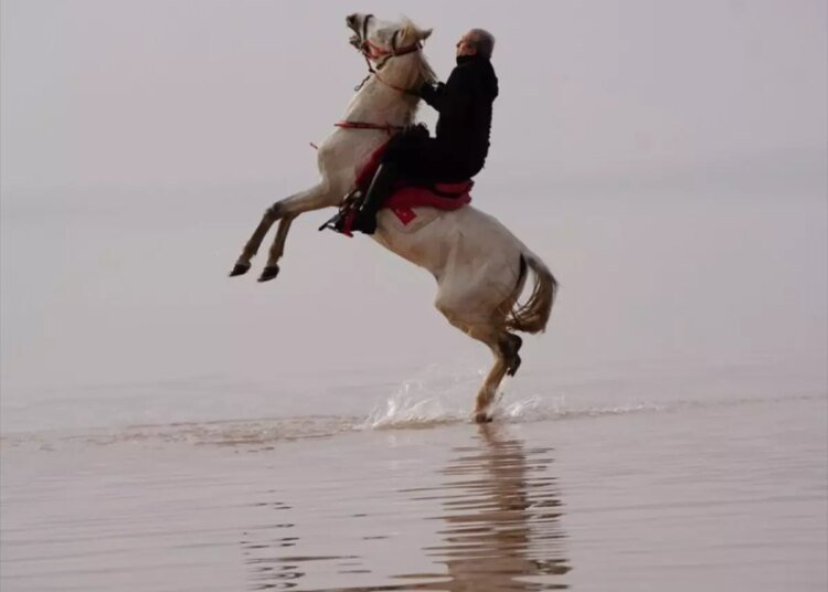 Atlı Dayanıklılık Türkiye Şampiyonası Gebze’de Düzenlendi