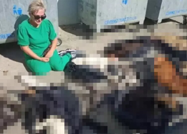 Gebze’de köpekleri ve kedileri kim öldürdü?