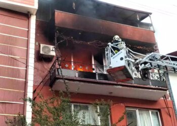 Kocaeli’de Yangın: Hayvanlar Kurtarıldı