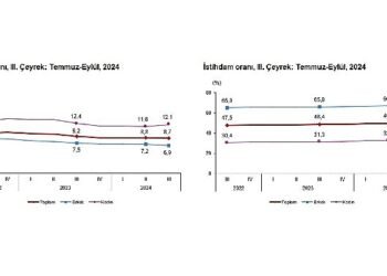 Tüik: Mevsim etkisinden arındırılmış işsizlik oranı %8,7 seviyesinde gerçekleşti