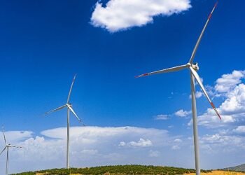 Borusan EnBW Enerji, 15. yılında Türkiye’nin yeşil enerji geleceğine ışık tutuyor