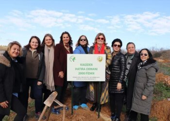 KAGİDER, Gebze’de 2 Bin Fidan Dikti