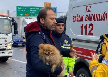 Kocaeli’de Feci Kaza: Cip Bariyere Çarparak Durdu, Sürücü Küçük Arkadaşını Bırakmadı