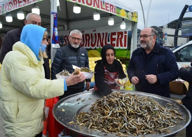 Gebze’de 2 Ton Hamsi İkram Edilen Hamsi Festivali Düzenlendi
