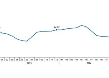 Tüik: Tüketici fiyat endeksi (TÜFE) yıllık %44,38, aylık %1,03 arttı