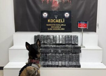 Kocaeli’de Cipte 34 Kilo Eroin Ele Geçirildi, 1 Tutuklama