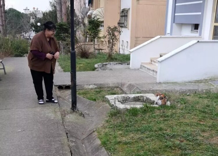 Kocaeli’nde 10 Gün Mahsur Kalan Kedi Kurtarıldı