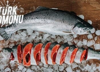Türk somonu ihracatı 5 yılda 17 kat arttı