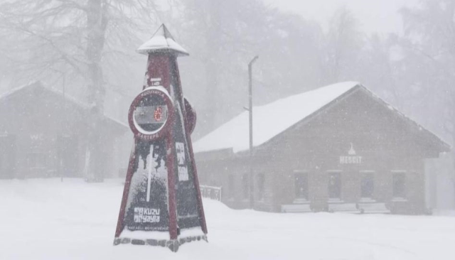 istanbulun yani basi beyaza burundu 1 z7VPt1P5