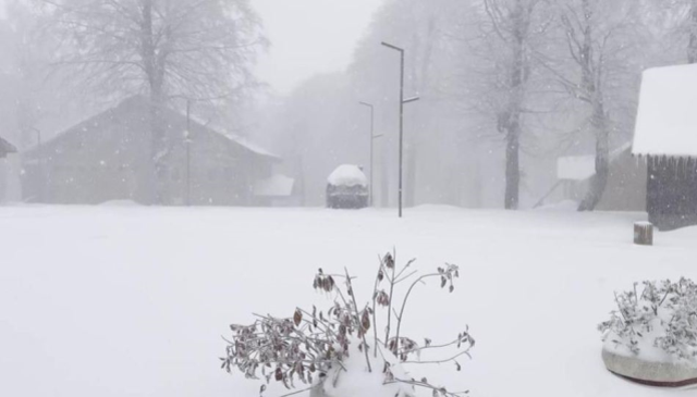 istanbulun yani basi beyaza burundu 2 N2C7HRO3